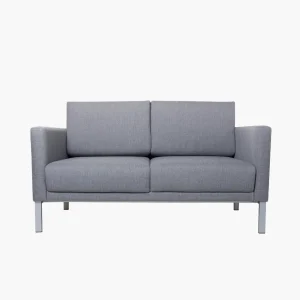 Pilka dvivietė sofa