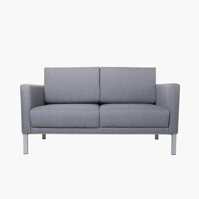 Pilka dvivietė sofa