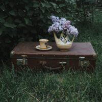 Rudas retro lagaminas ant pievos su puodeliu ir gėlių vaza